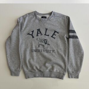 Zara Gray Crewneck Sweater